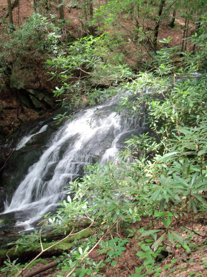 A scenic view of a small waterfall cascading over rocks, surrounded by lush greenery and dense forest. The water flows gently, reflecting light as it moves, while vibrant leaves and shrubs frame the scene. Pinhoti Trail: Mountaintown Creek Segment mountain bike trail.