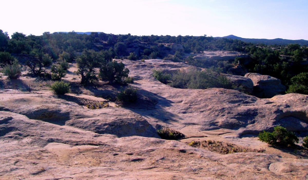 A rocky landscape featuring smooth, rounded stone formations interspersed with patches of green vegetation and shrubs, under a clear blue sky. The scene showcases a natural, rugged terrain with distant hills in the background. Alien Run Trail mountain bike trail.