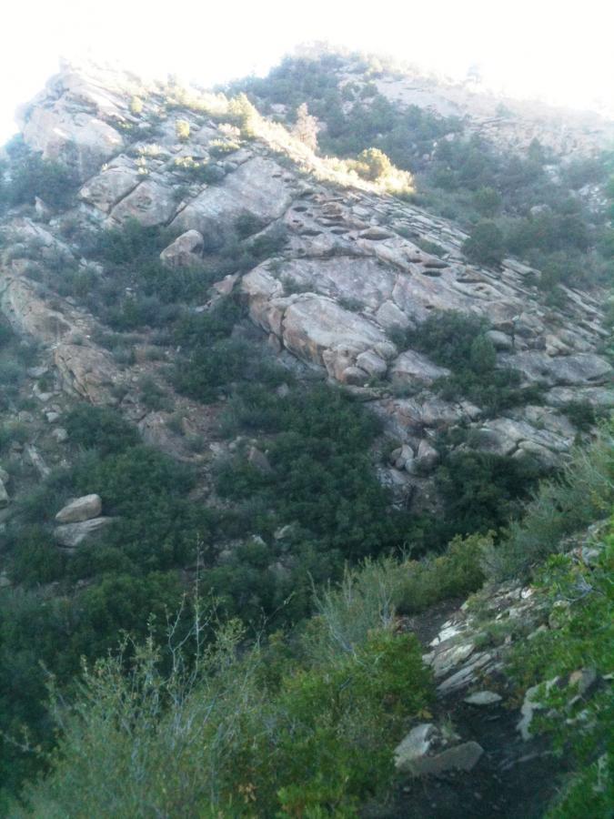A rocky hillside covered with vegetation, including small bushes and shrubs, under a bright sky. The slope features large boulders and textured rock surfaces, creating a natural landscape. Horse Gulch mountain bike trail.