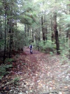 A person riding a bicycle along a narrow dirt trail in a dense forest, surrounded by trees and fallen leaves. The image is slightly blurred, emphasizing the motion on the trail. Bear Brook mountain bike trail.