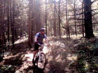 A person riding a mountain bike on a wooded trail, surrounded by tall trees and dappled sunlight filtering through the branches. Bear Brook mountain bike trail.