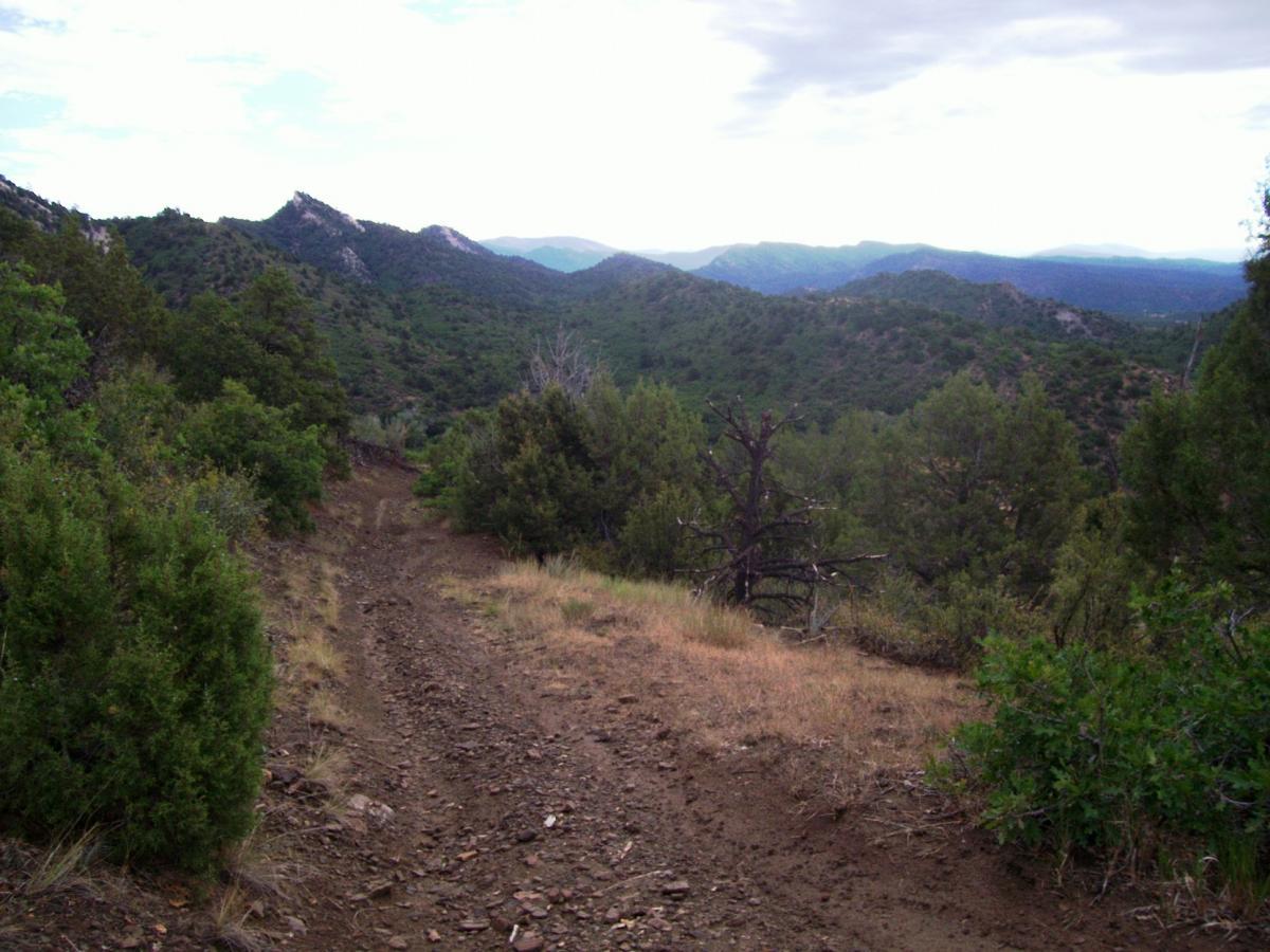 A winding dirt path leads through a lush, green landscape of hills and mountains under a cloudy sky. The foreground features patches of grass and small shrubs, while the distant mountains create a serene backdrop. Telegraph Trail System mountain bike trail.