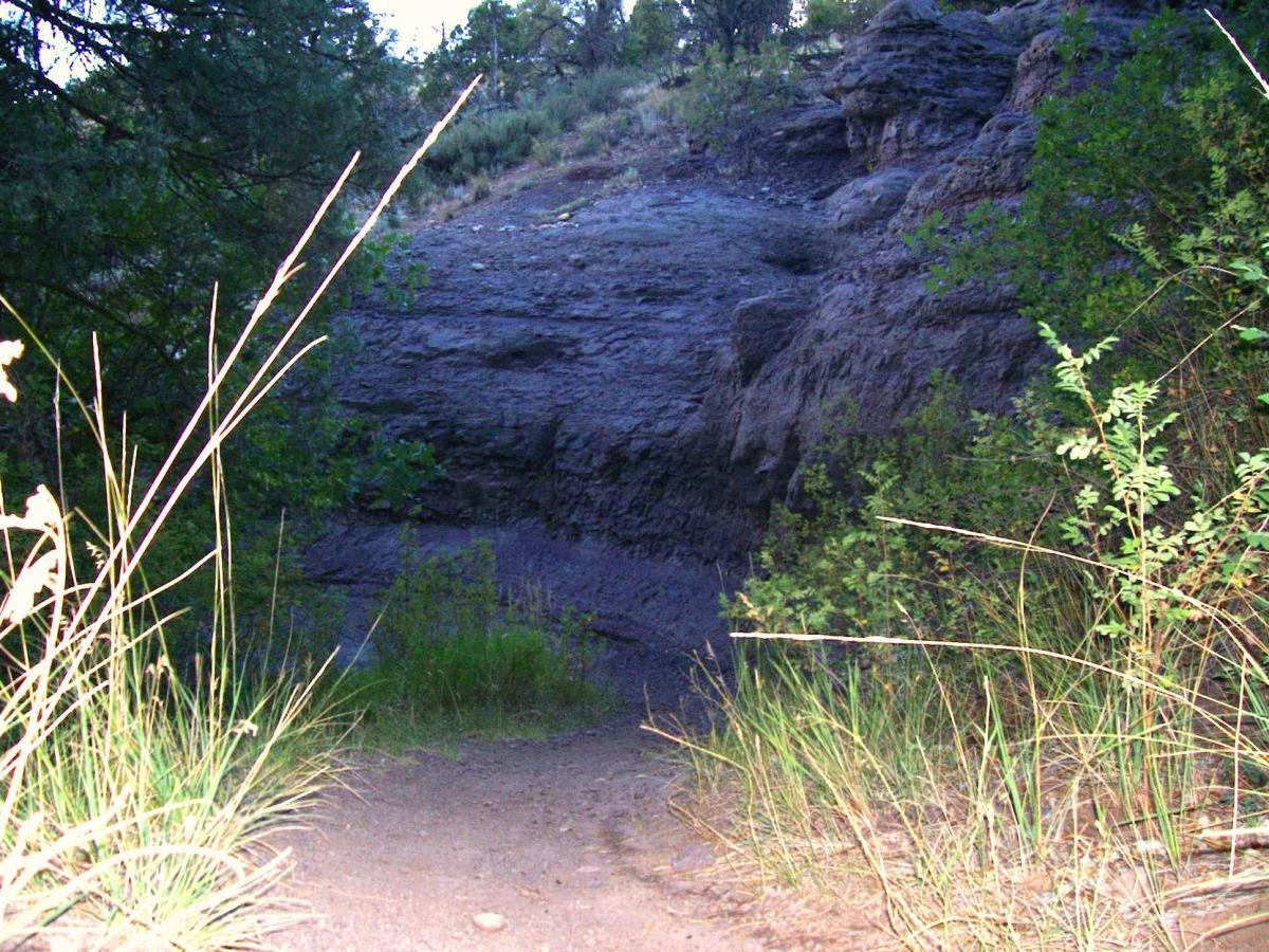 A narrow dirt path leads through tall grasses and sparse vegetation, with a rocky outcrop visible in the background under dim lighting. The scene suggests a secluded natural area, framed by trees and a rugged terrain. Telegraph Trail System mountain bike trail.