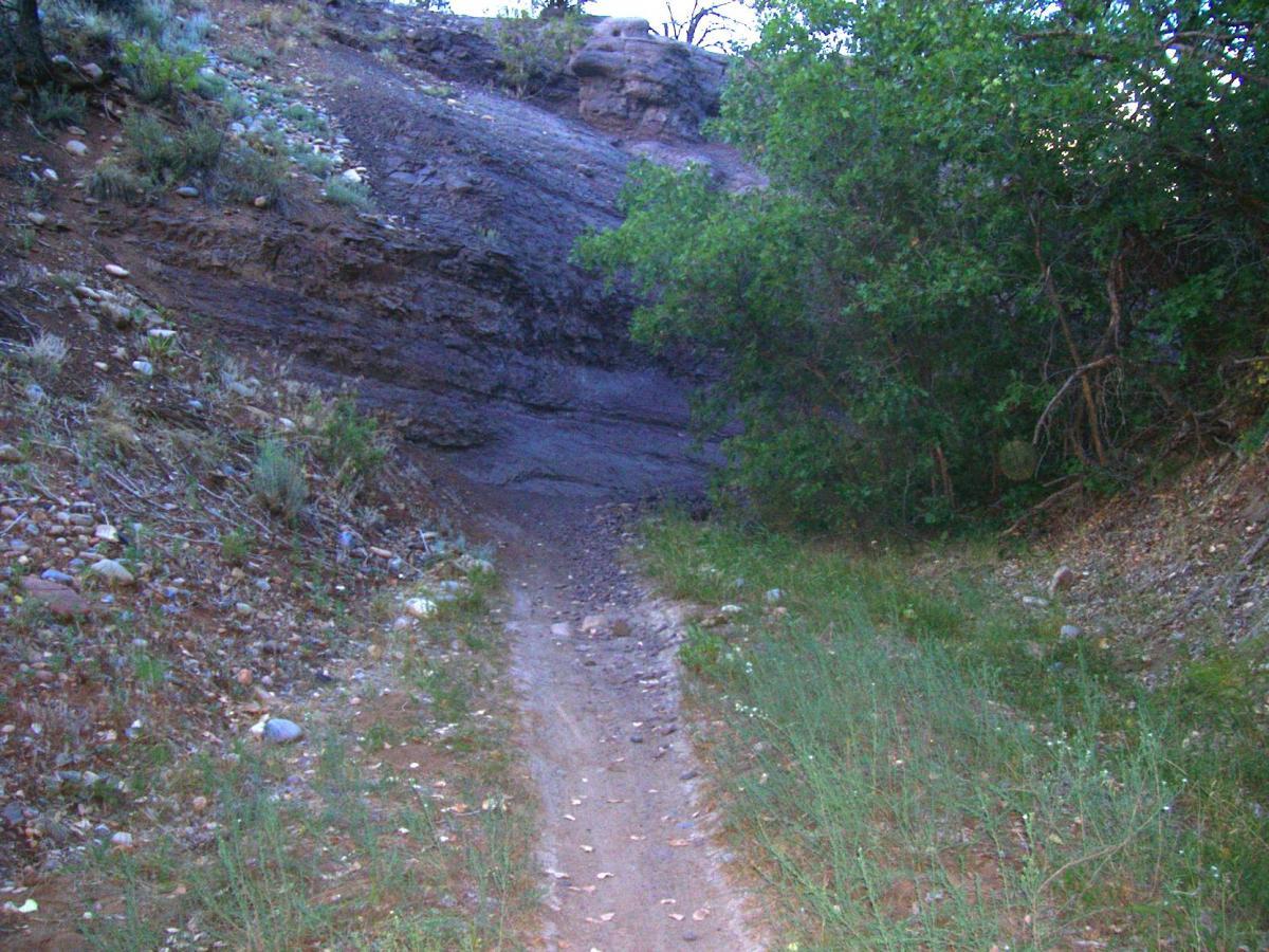 A narrow dirt path winding between rocky terrain and lush green vegetation, surrounded by steep, sloped edges. The path is lined with small rocks and sparse grass, leading into a shaded area created by the surrounding trees. Telegraph Trail System mountain bike trail.