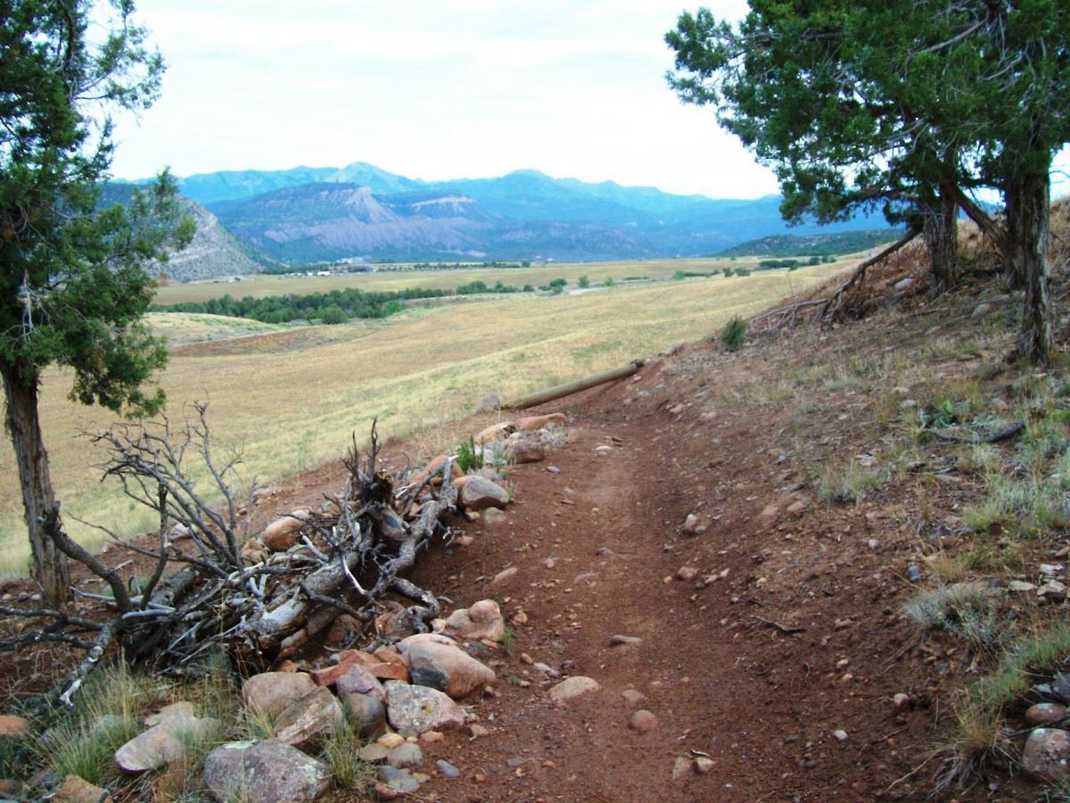 A dirt path winding through a natural landscape, bordered by rocky terrain and sparse vegetation. In the background, rolling hills and mountains rise under a slightly cloudy sky, with a lush green valley visible in the distance. The scene conveys a sense of tranquility and the beauty of the outdoors. Telegraph Trail System mountain bike trail.