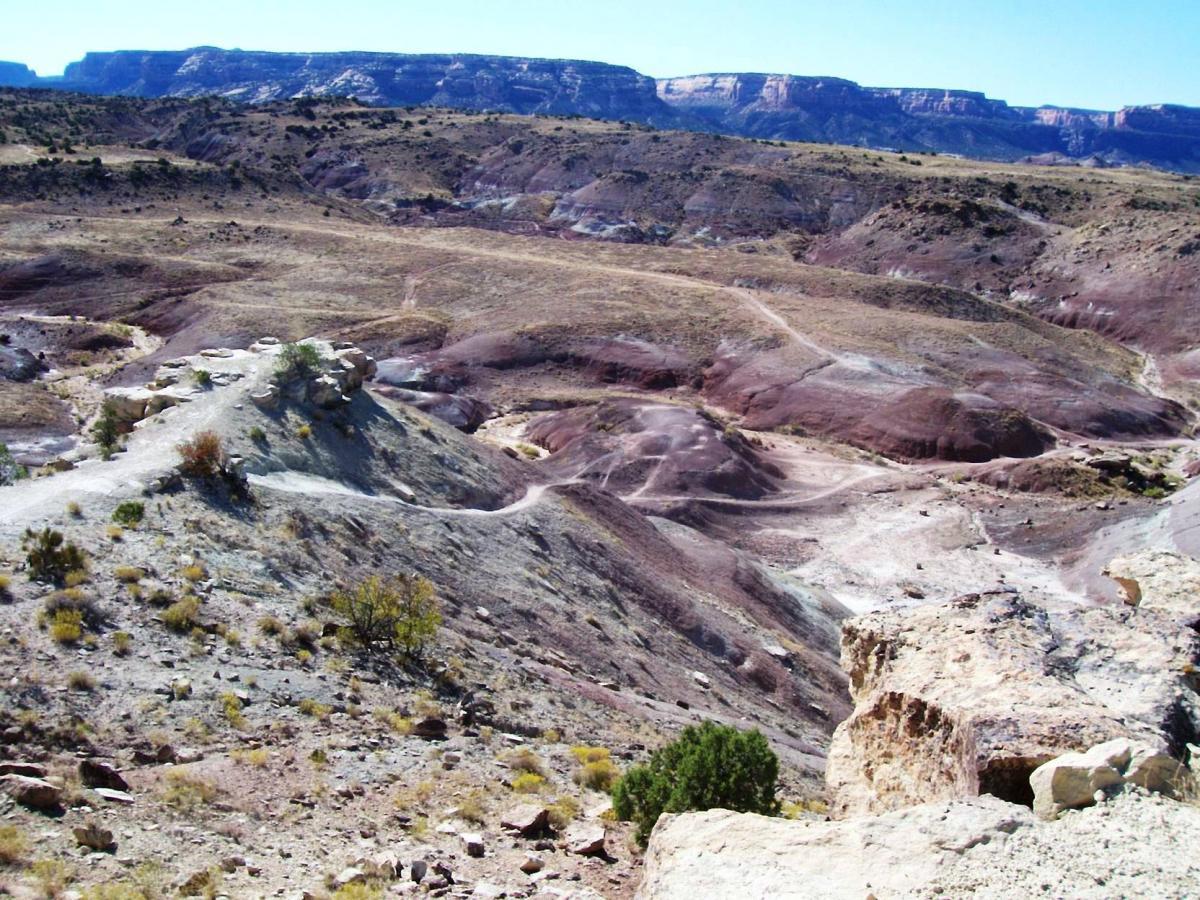 A panoramic view of a rugged, dry landscape featuring rolling hills with varying shades of brown and purple, dotted with sparse vegetation and rocky outcrops, under a clear blue sky. Lunch Loops mountain bike trail.