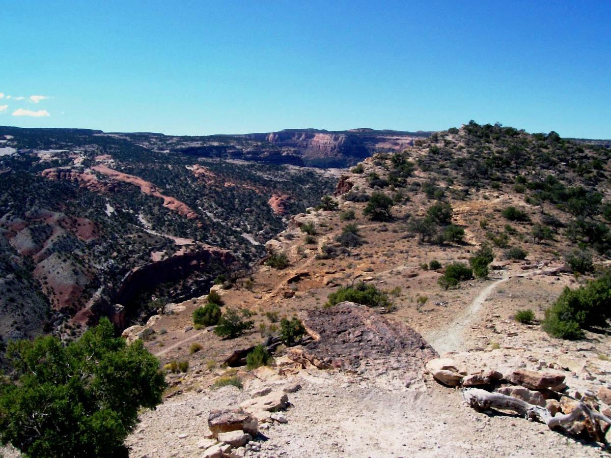 A panoramic view of a rugged landscape featuring mesas and canyons under a clear blue sky, with sparse vegetation and rocky terrain. Lunch Loops mountain bike trail.