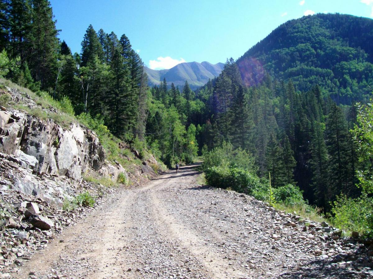 A dirt road winding through a lush forested area, with rocky terrain on the left and tall green trees on both sides. In the background, mountains rise against a clear blue sky, creating a serene outdoor landscape. Colorado Trail: Kennebec Pass To Junction Creek mountain bike trail.