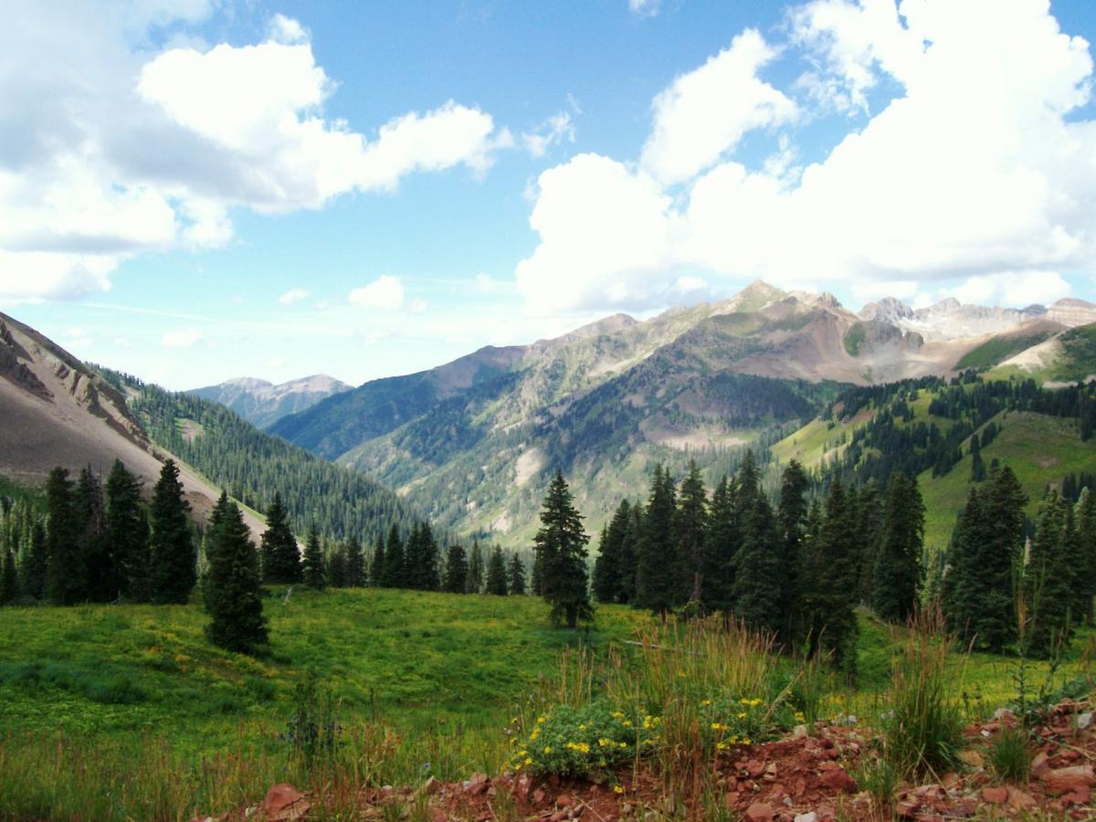 A panoramic view of lush green mountains under a blue sky dotted with fluffy white clouds. The foreground features a variety of trees, while the background showcases rolling hills and rugged mountain peaks, inviting a sense of tranquility and natural beauty. Colorado Trail: Kennebec Pass To Junction Creek mountain bike trail.