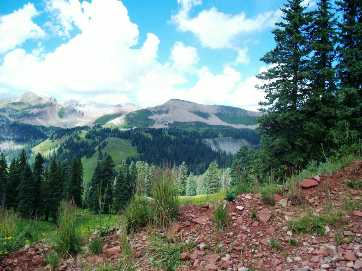 A scenic view of lush green mountains under a bright blue sky dotted with fluffy white clouds. In the foreground, there are patches of rocky terrain and tall grasses, while a dense forest of evergreen trees fills the lower slopes of the mountains. The backdrop features rugged mountain peaks with some areas of exposed rock. Colorado Trail: Kennebec Pass To Junction Creek mountain bike trail.
