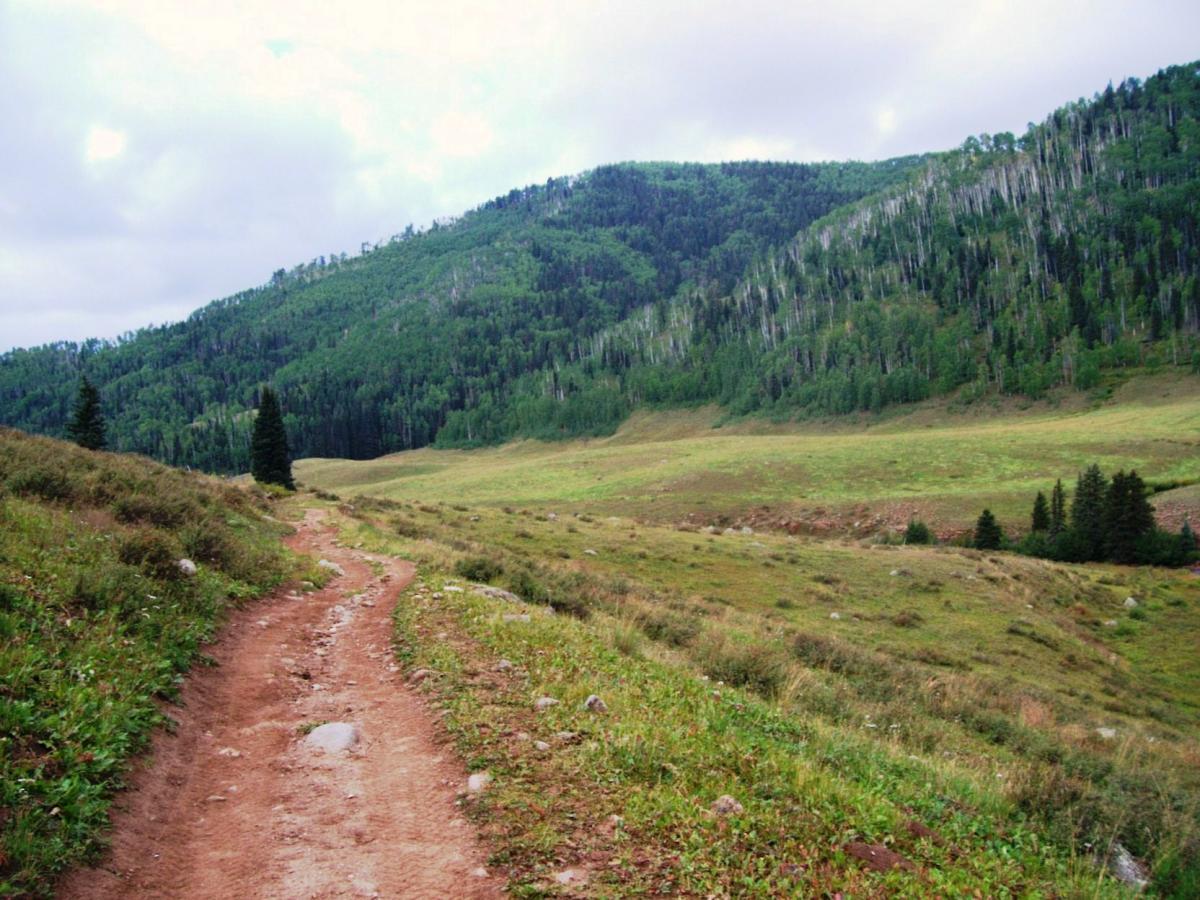 A winding dirt path leads through a green valley surrounded by rolling hills and dense forests under a cloudy sky. Hermosa Creek Trail mountain bike trail.
