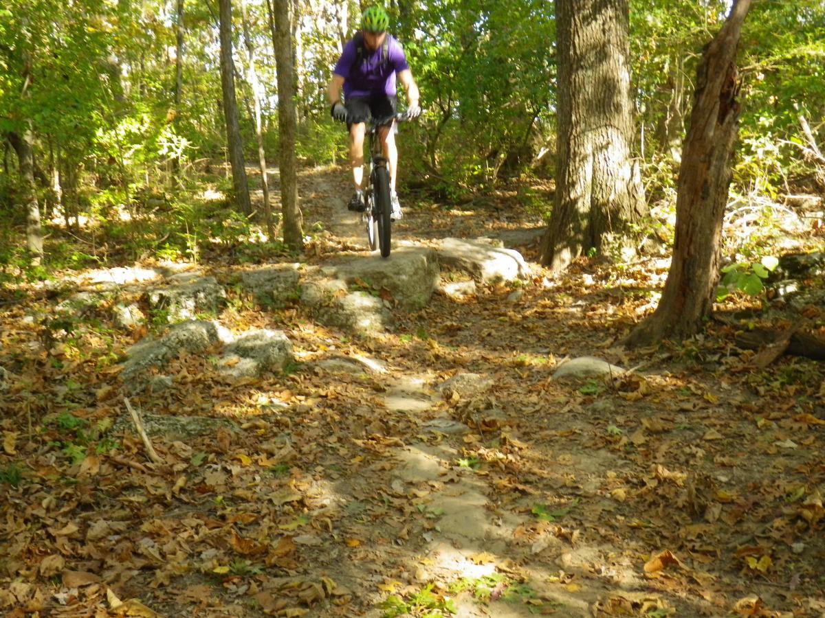A person in a purple shirt and helmet riding a mountain bike over rocky terrain in a forest, surrounded by trees and fallen leaves. Lock 4 mountain bike trail.