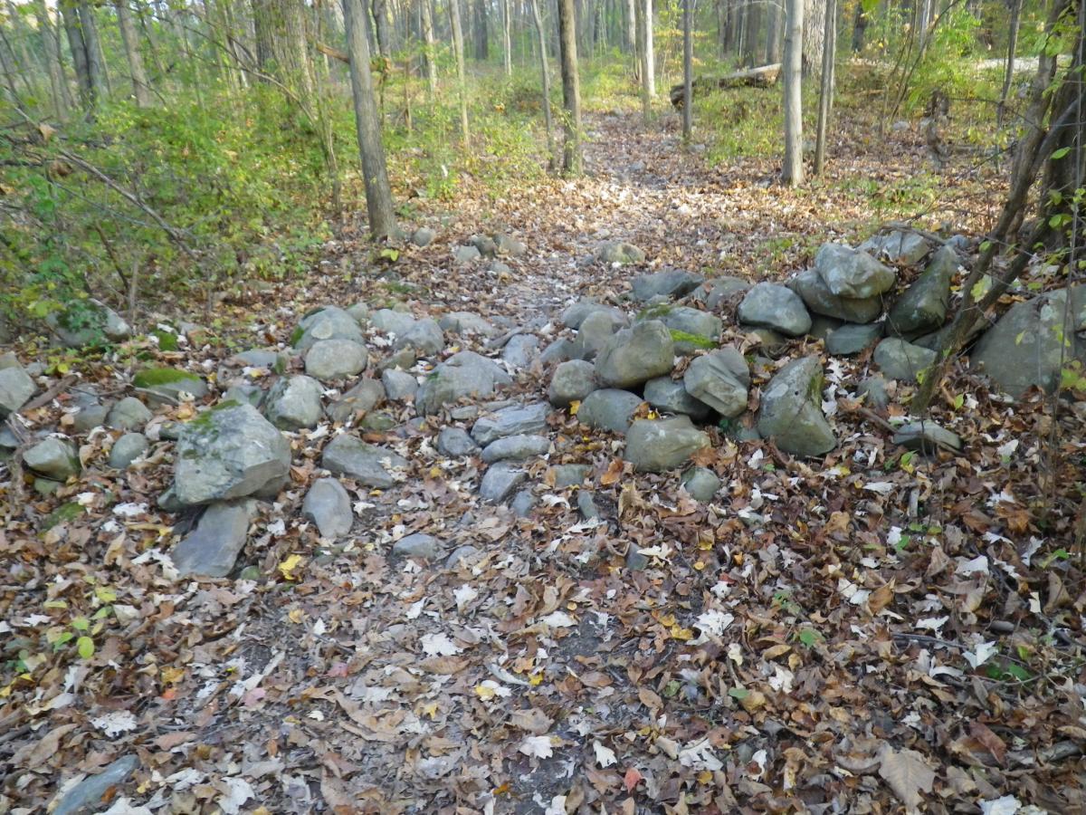 Scenic forest pathway with a mixture of rocks and fallen leaves, bordered by trees and greenery, creating a natural, tranquil environment. Stewart State Forest mountain bike trail.