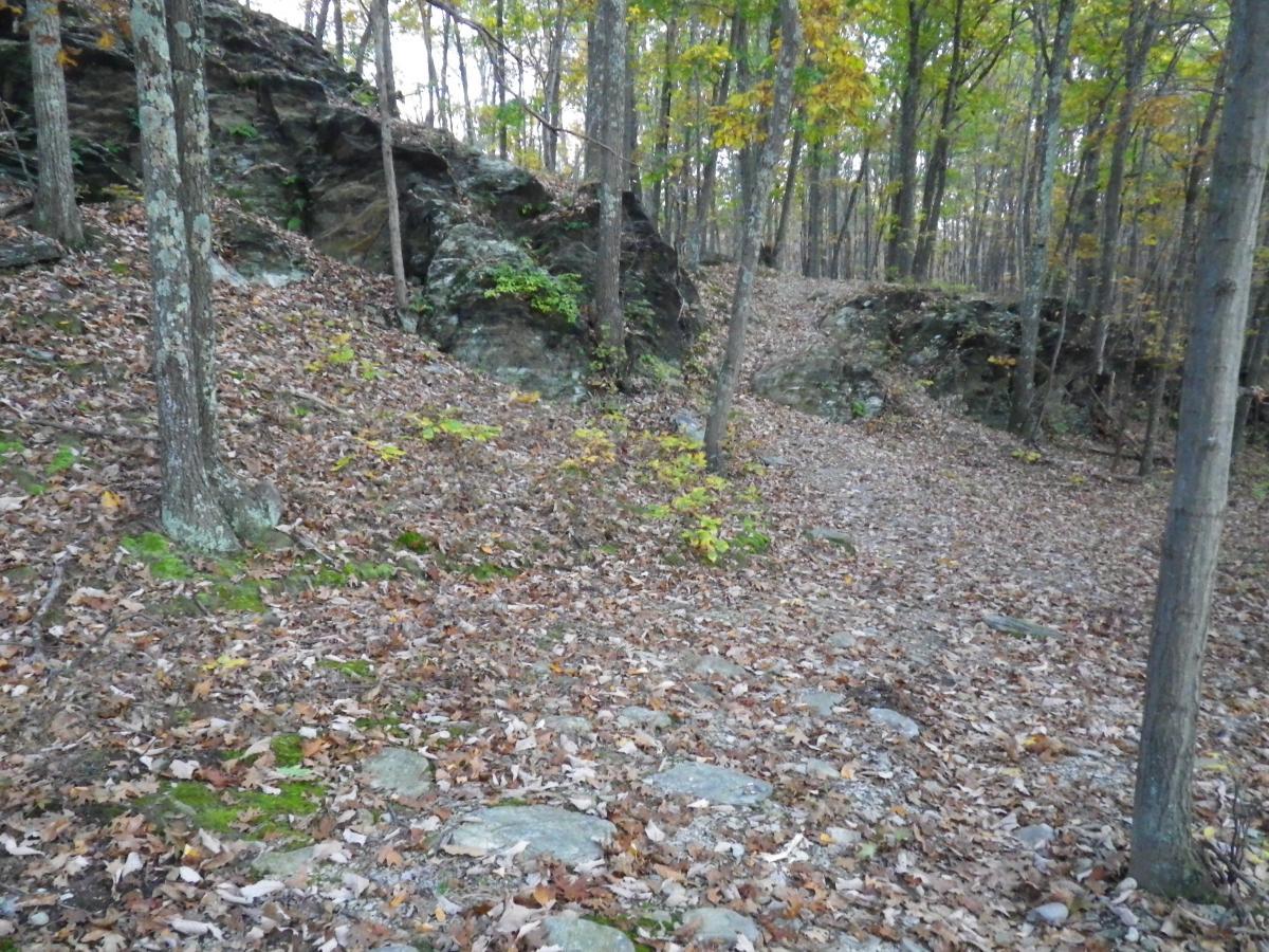 A serene forest path covered in fallen leaves, flanked by trees and boulders. The landscape features shades of earthy brown and green, with autumn foliage peeking through. The path winds gently, leading deeper into the woods. Stewart State Forest mountain bike trail.