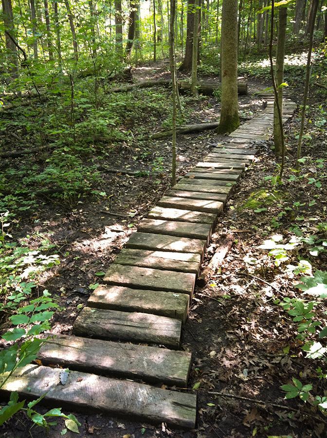 A wooden pathway winding through a wooded area, surrounded by green trees and underbrush. The path consists of several planks placed on the ground, leading into the distance along the forest floor, which is covered in leaves and small plants. Franke Park mountain bike trail.