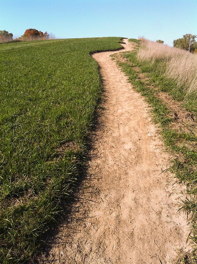 A dirt path winding through lush green grass, leading up a gentle hill under a clear blue sky. The path is bordered by tall grass on one side and a slight decline on the other, inviting exploration and walking. Franke Park mountain bike trail.