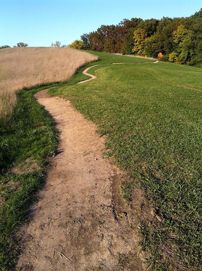 A winding dirt path through a grassy landscape, bordered by a field of tall grass on one side and trees with autumn foliage on the other. The scene is set under a clear blue sky. Franke Park mountain bike trail.