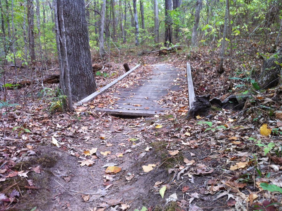A wooden footbridge covered with fallen leaves, leading through a forested area with trees and underbrush. The Monkey Trail mountain bike trail.