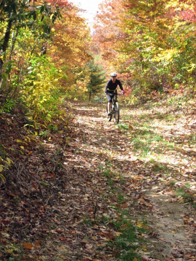 A person riding a mountain bike down a leaf-covered trail surrounded by vibrant autumn foliage in shades of orange, yellow, and red. Sunlight filters through the trees, illuminating the path ahead. Panthertown Valley mountain bike trail.