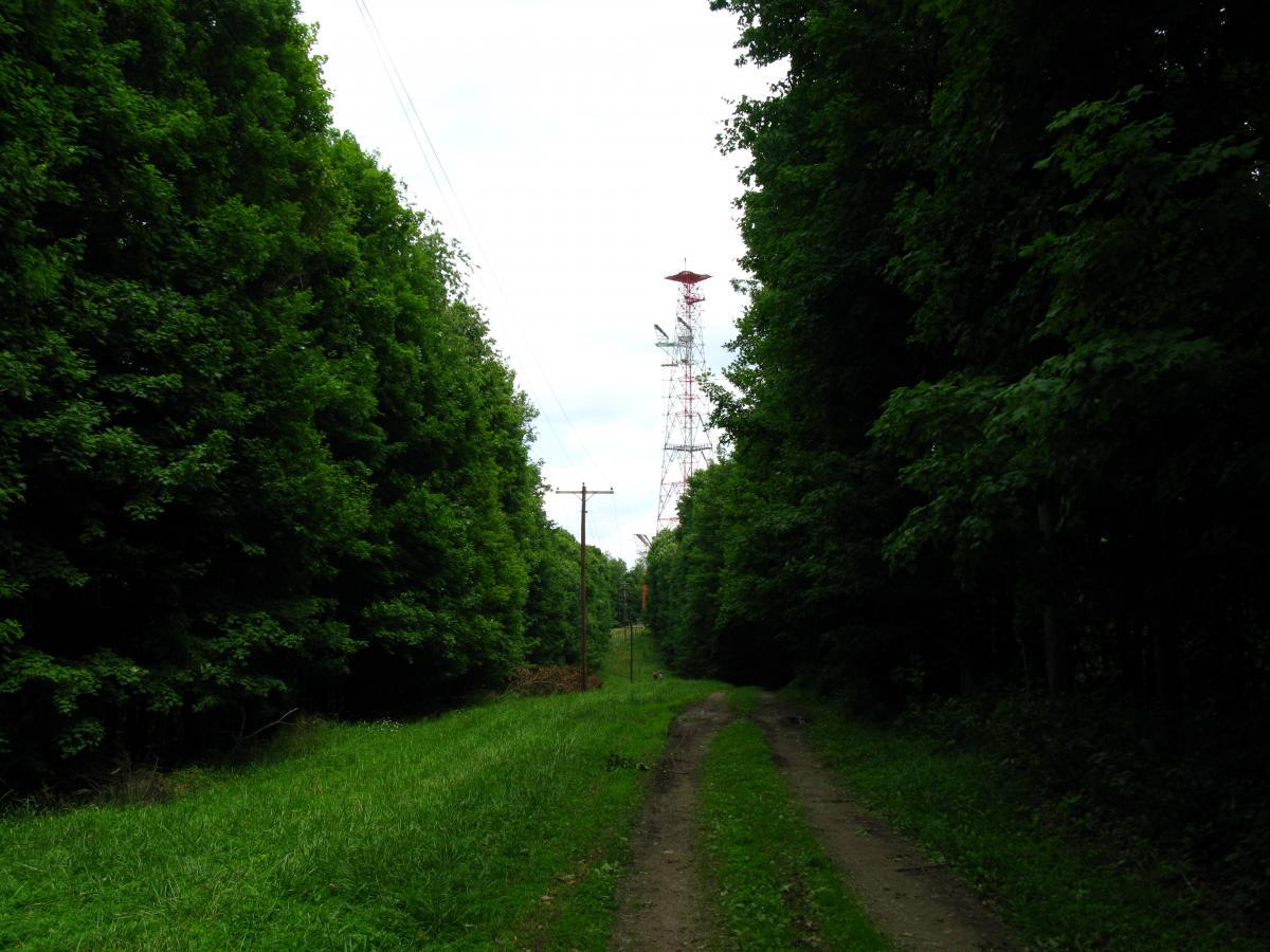 A narrow dirt path surrounded by dense green trees leads towards a tall communication tower in the distance, under a cloudy sky. Power lines run alongside the path. Great Seal State Park mountain bike trail.