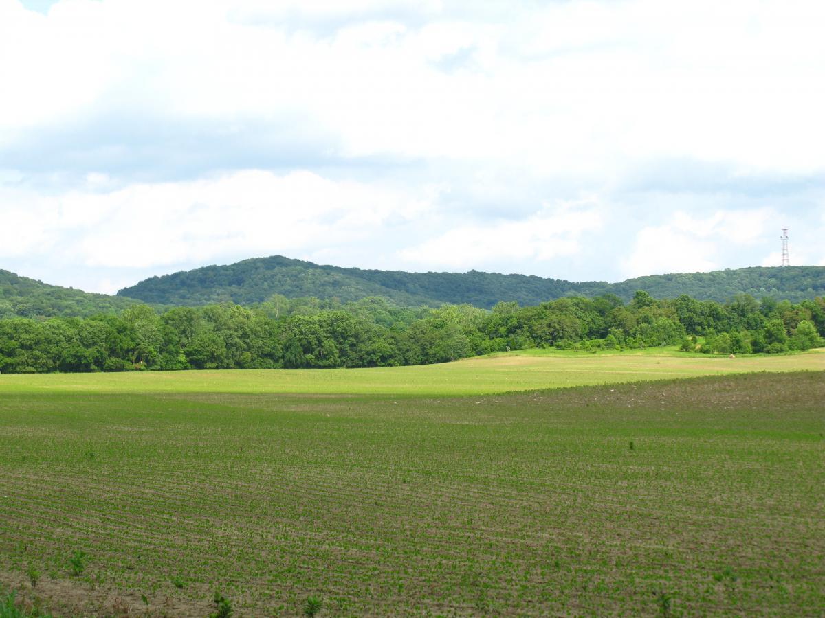 A scenic view of rolling green hills under a partly cloudy sky, featuring a foreground of freshly cultivated farmland with small plants emerging from the soil. Trees line the horizon, providing a natural backdrop to the landscape. Great Seal State Park mountain bike trail.