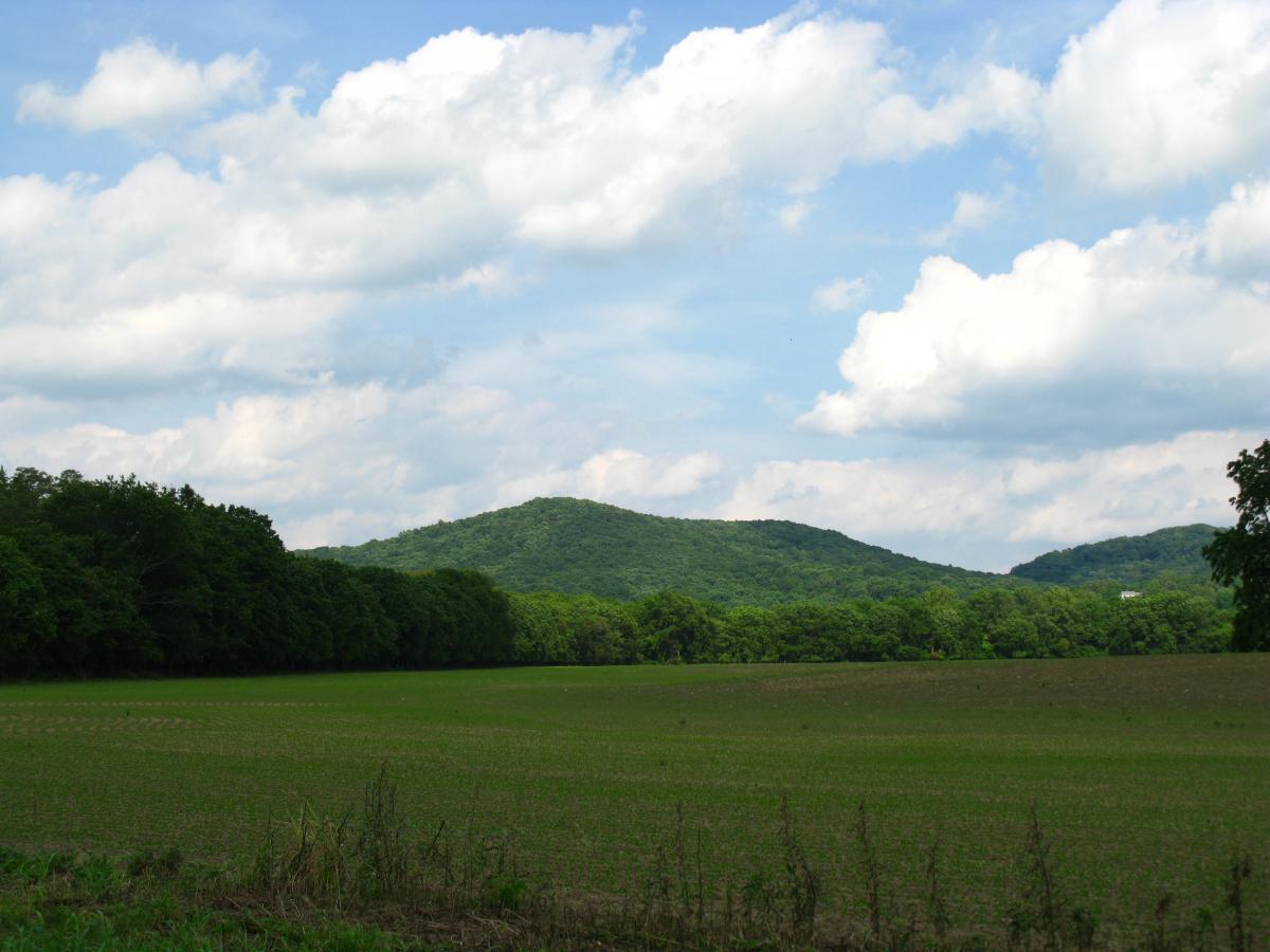 A scenic view of rolling hills covered in lush green trees under a partly cloudy sky. In the foreground, a grassy field stretches out, showcasing signs of cultivation. The mountains in the background rise gently against the blue sky, creating a peaceful rural landscape. Great Seal State Park mountain bike trail.