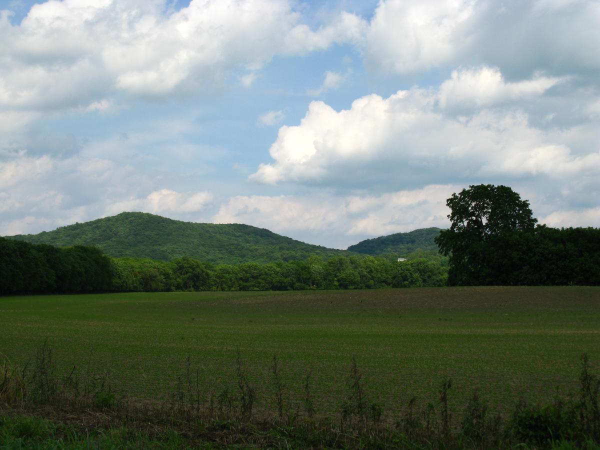 A scenic landscape featuring rolling green hills under a partly cloudy sky. In the foreground, a flat, grassy field stretches out, bordered by trees on the left. The distant hills are lush with vegetation, creating a tranquil and picturesque rural atmosphere. Great Seal State Park mountain bike trail.