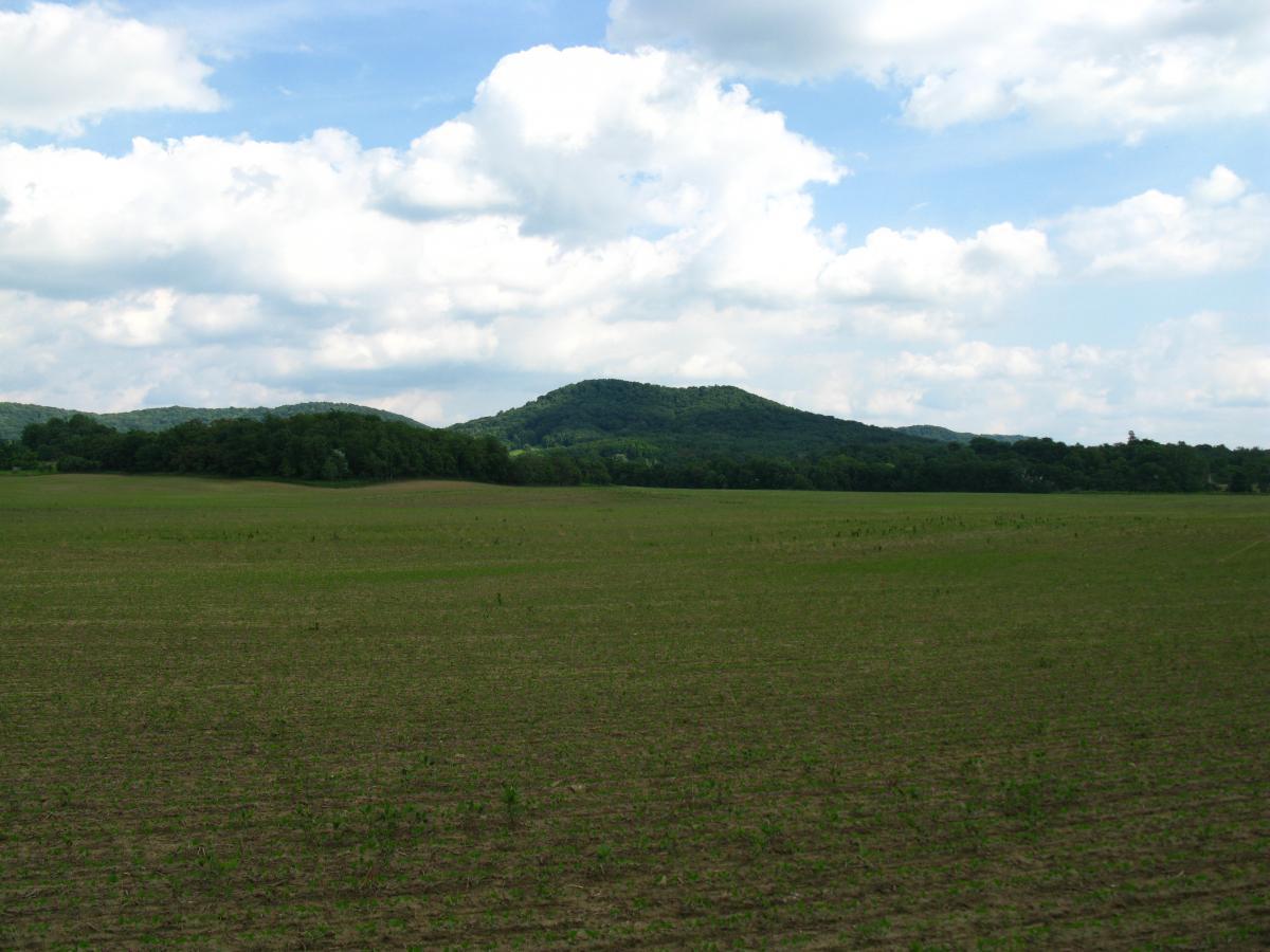 A landscape featuring rolling green hills under a partly cloudy sky, with an expanse of grassy farmland in the foreground. Great Seal State Park mountain bike trail.
