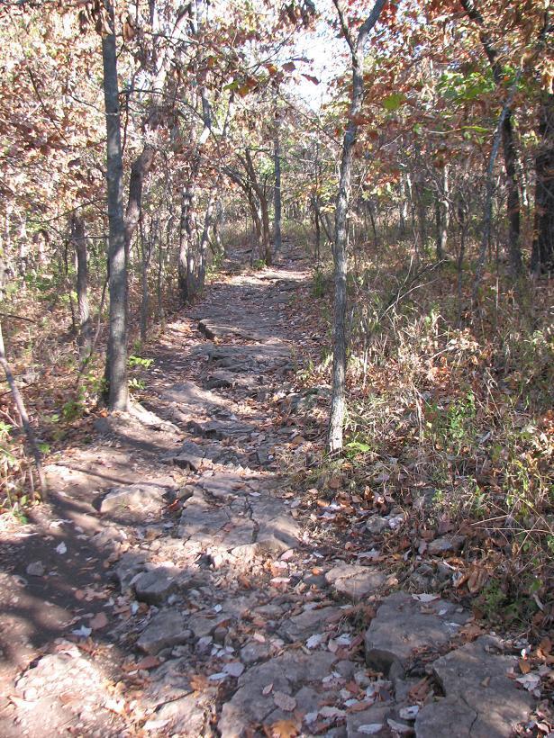 A rocky path winding through a forest, surrounded by trees with autumn leaves scattered on the ground. The sunlight filters through the branches, illuminating the trail ahead. Shawnee Mission Park mountain bike trail.