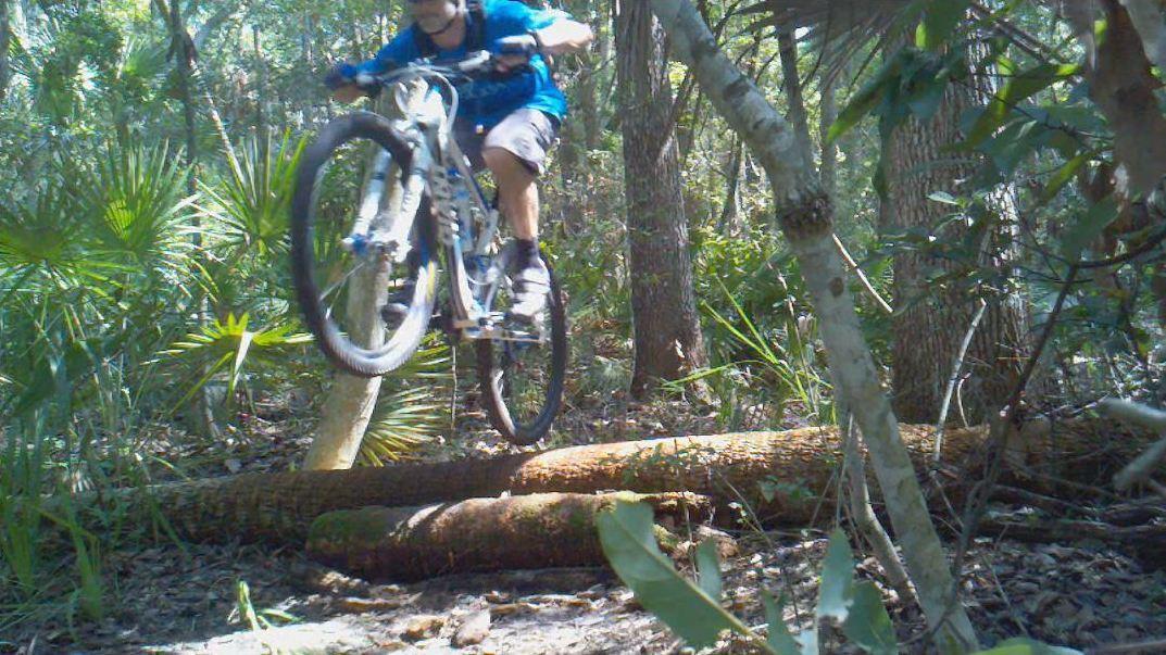 A person riding a mountain bike jumps over a fallen log in a dense forest. Surrounding vegetation includes palm-like plants and tall trees, with dappled sunlight filtering through the leaves. Kathryn Abby Hanna Park mountain bike trail.