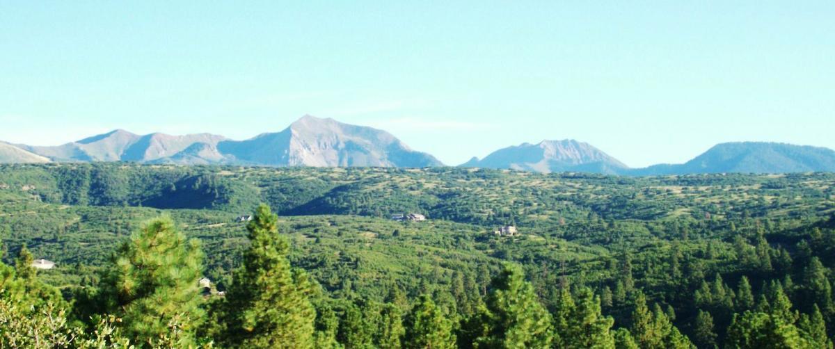 A panoramic view of lush green hills leading up to rugged mountains under a clear blue sky. The foreground features dense coniferous trees, while the background showcases a range of mountains with varying peaks and slopes. Colorado Trail: Kennebec Pass To Junction Creek mountain bike trail.