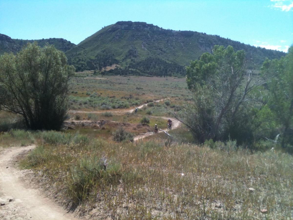A scenic view of a winding dirt trail surrounded by grassy fields and low shrubs, with a backdrop of rolling hills under a clear blue sky. Two people are biking along the trail, adding a sense of activity to the serene landscape. Horse Gulch mountain bike trail.