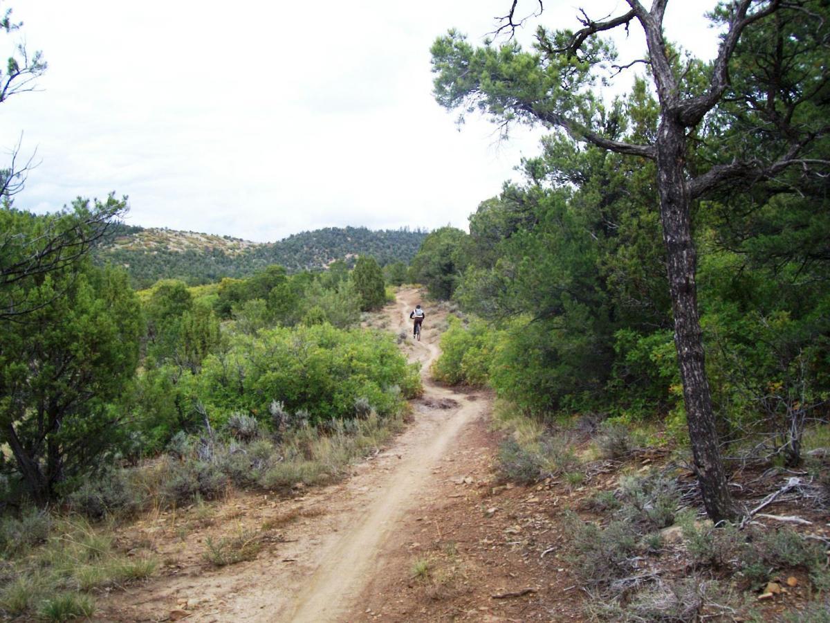 A person walking along a dirt path surrounded by lush green vegetation and trees, with hills in the background under a cloudy sky. Horse Gulch mountain bike trail.