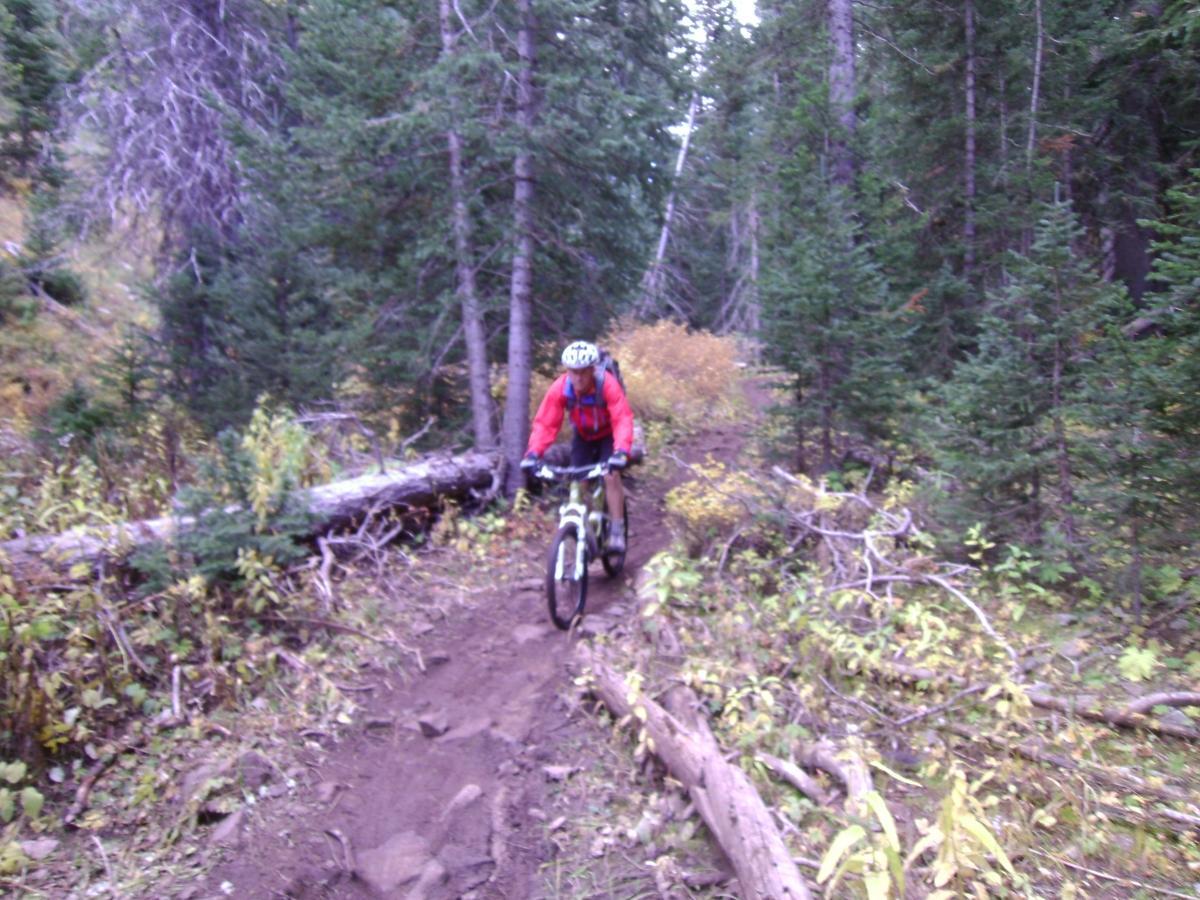 A mountain biker wearing a red jacket and a helmet rides along a dirt trail in a wooded area, surrounded by trees, foliage, and a fallen log. The scenery indicates an autumn setting with hints of yellow and green in the underbrush. The Whole Enchilada mountain bike trail.