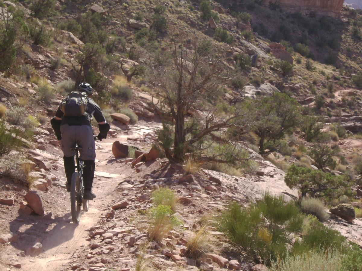 A mountain biker riding along a narrow, rocky trail in a scenic outdoor landscape, surrounded by shrubs and small trees on a sunny day. The Whole Enchilada mountain bike trail.