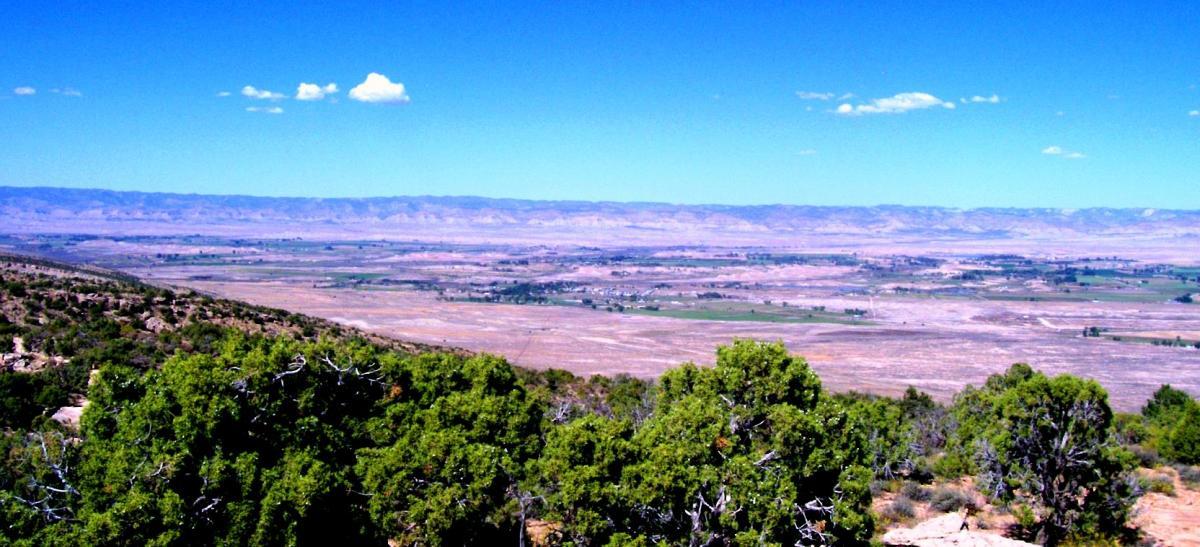A panoramic view of a vast, arid landscape under a clear blue sky, featuring distant mountains and patches of green fields. In the foreground, green shrubs and trees frame the scene, highlighting the contrast between the greenery and the surrounding dry terrain. Moore Fun mountain bike trail.