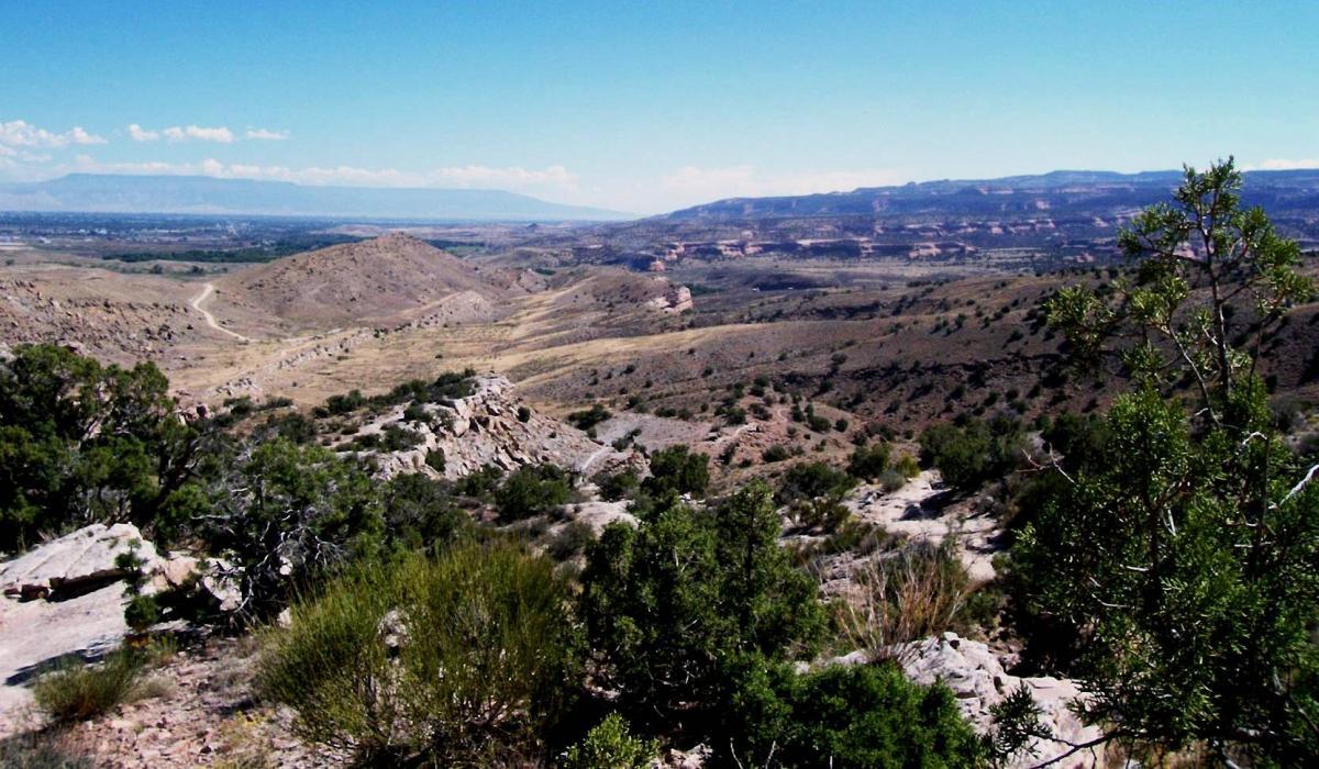 A scenic view of a vast, arid landscape featuring rolling hills, rocky outcrops, and sparse vegetation. In the distance, layered mountains rise under a clear blue sky, highlighting the natural beauty of the region. The winding dirt path suggests opportunities for exploration in this tranquil outdoor setting. Moore Fun mountain bike trail.