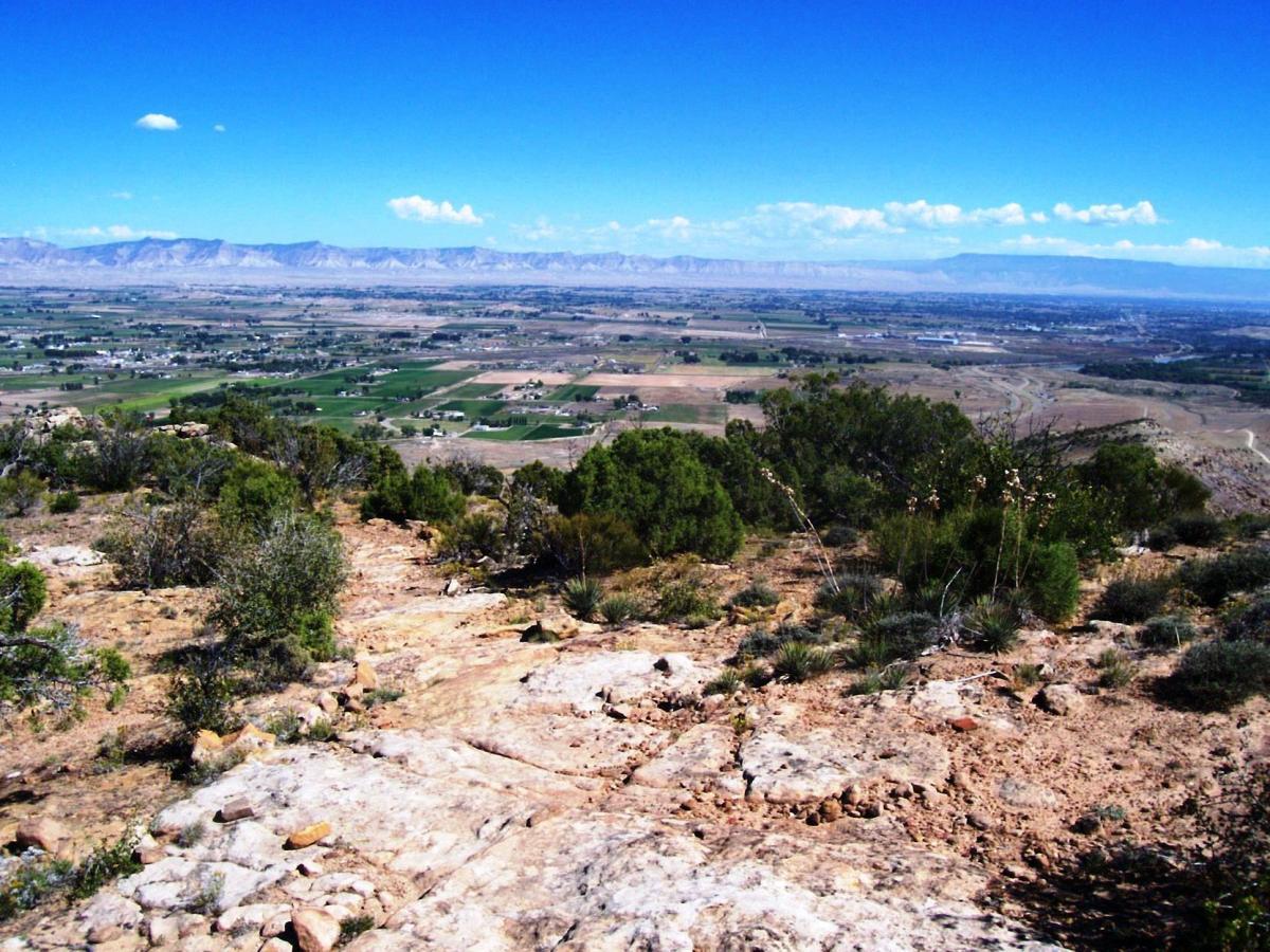 A panoramic view from a rocky ledge overlooking a vast landscape of valleys and farmland, bordered by distant mountains under a bright blue sky with a few fluffy clouds. Dense green shrubs and patches of grass are visible in the foreground. Moore Fun mountain bike trail.