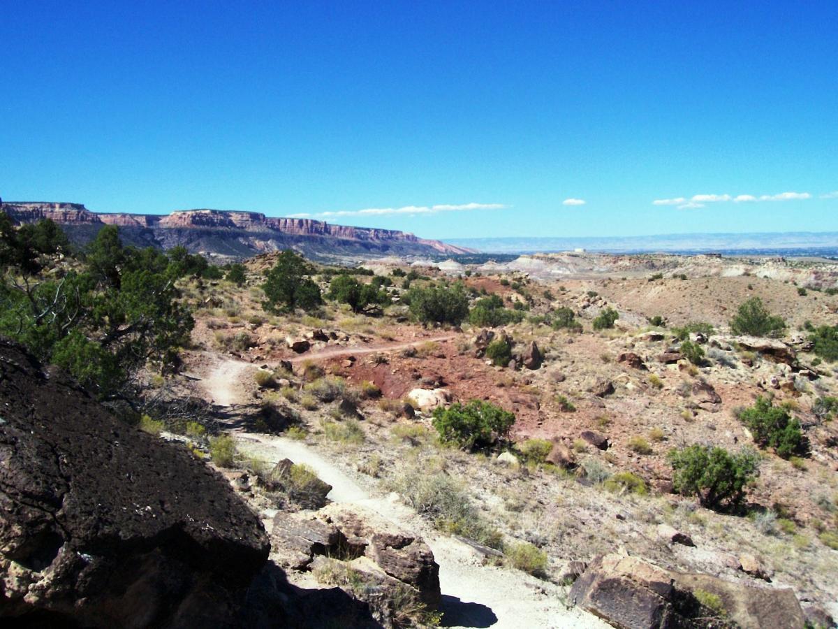A vast desert landscape featuring rocky terrain, scattered shrubs, and a winding dirt path leading through the scenery. In the background, mesas with layered cliffs stretch under a clear blue sky dotted with a few clouds. Lunch Loops mountain bike trail.