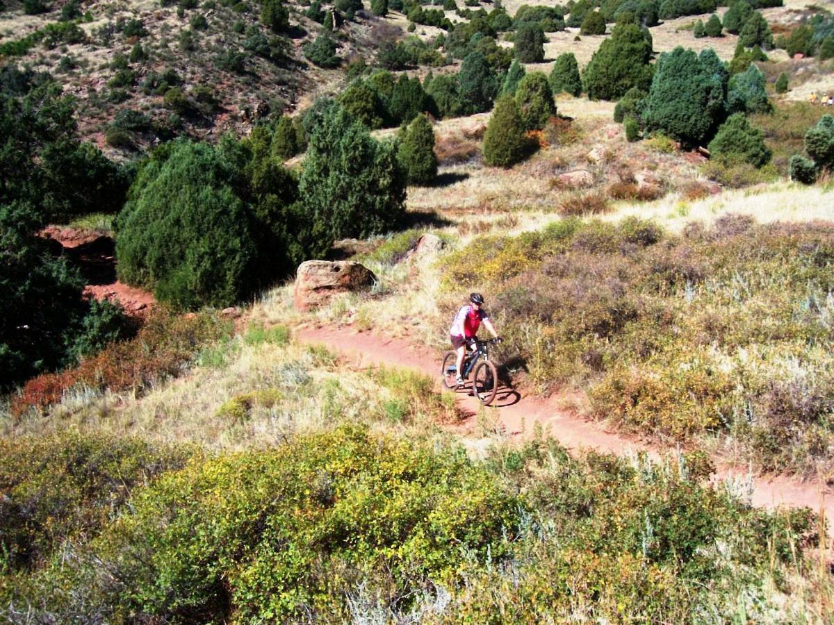 A mountain biker riding on a winding dirt trail surrounded by lush green vegetation and rocky terrain under a clear blue sky. Red Rocks / Dakota Ridge mountain bike trail.