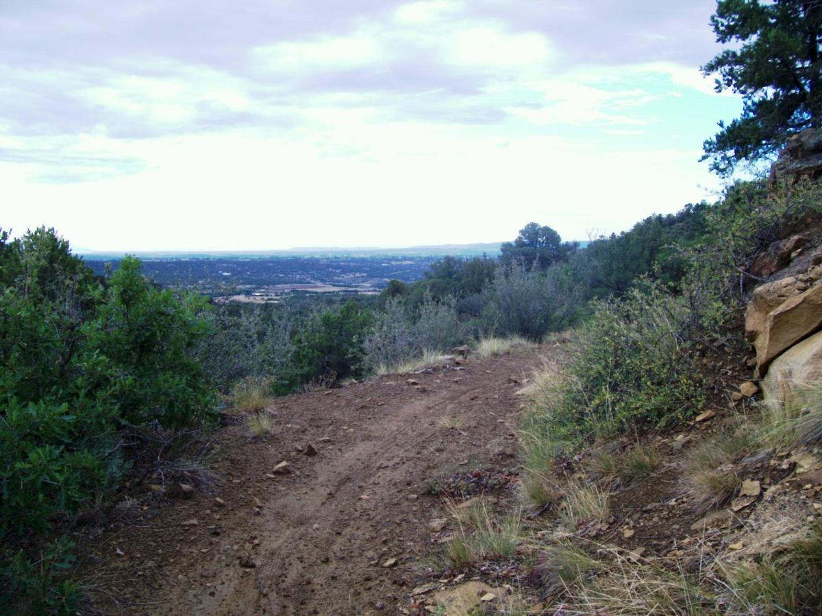 A scenic dirt path winding through greenery, with a view of rolling hills and valleys in the distance under a cloudy sky. Telegraph Trail System mountain bike trail.