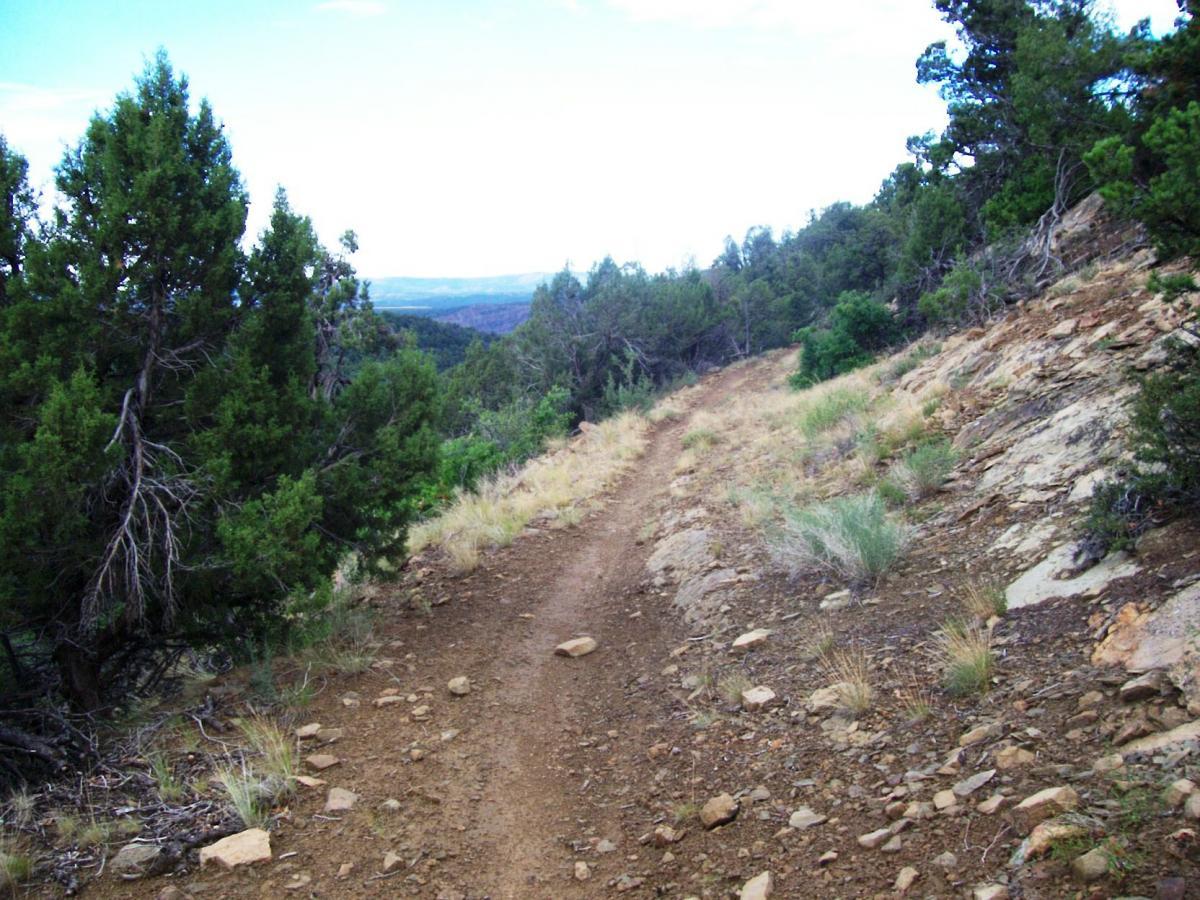 A winding dirt trail surrounded by greenery and rocky terrain, leading through a scenic landscape with distant hills and a cloudy sky. Telegraph Trail System mountain bike trail.