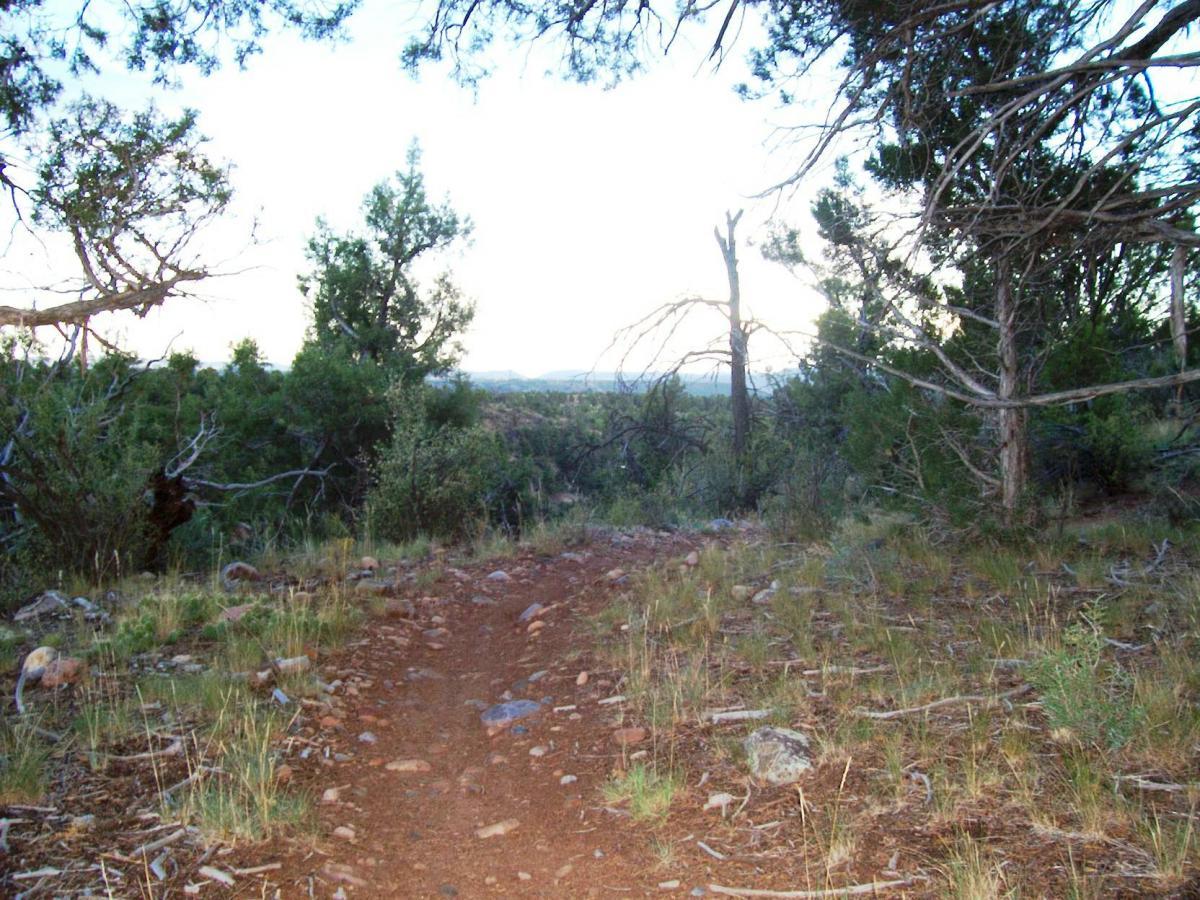A narrow dirt path winding through a forested area, with trees and shrubs on either side. The ground is covered with rocks and dry grass, and the background shows a view of distant hills under a lightening sky. Telegraph Trail System mountain bike trail.