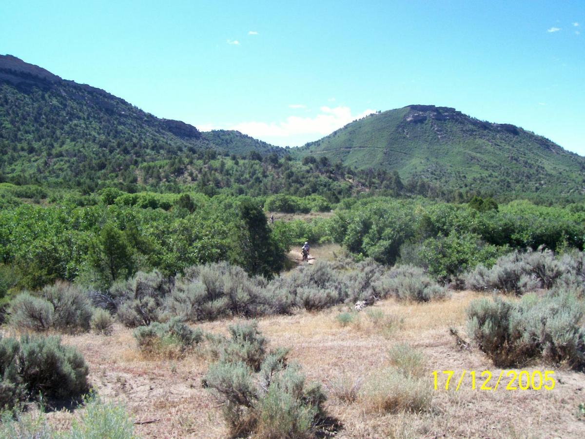 A scenic view of a hilly landscape with green vegetation and shrubs. In the distance, a person on a horse is riding along a trail through the greenery. The sky is clear with a few scattered clouds, and the date displayed in the corner reads December 17, 2005. Horse Gulch mountain bike trail.