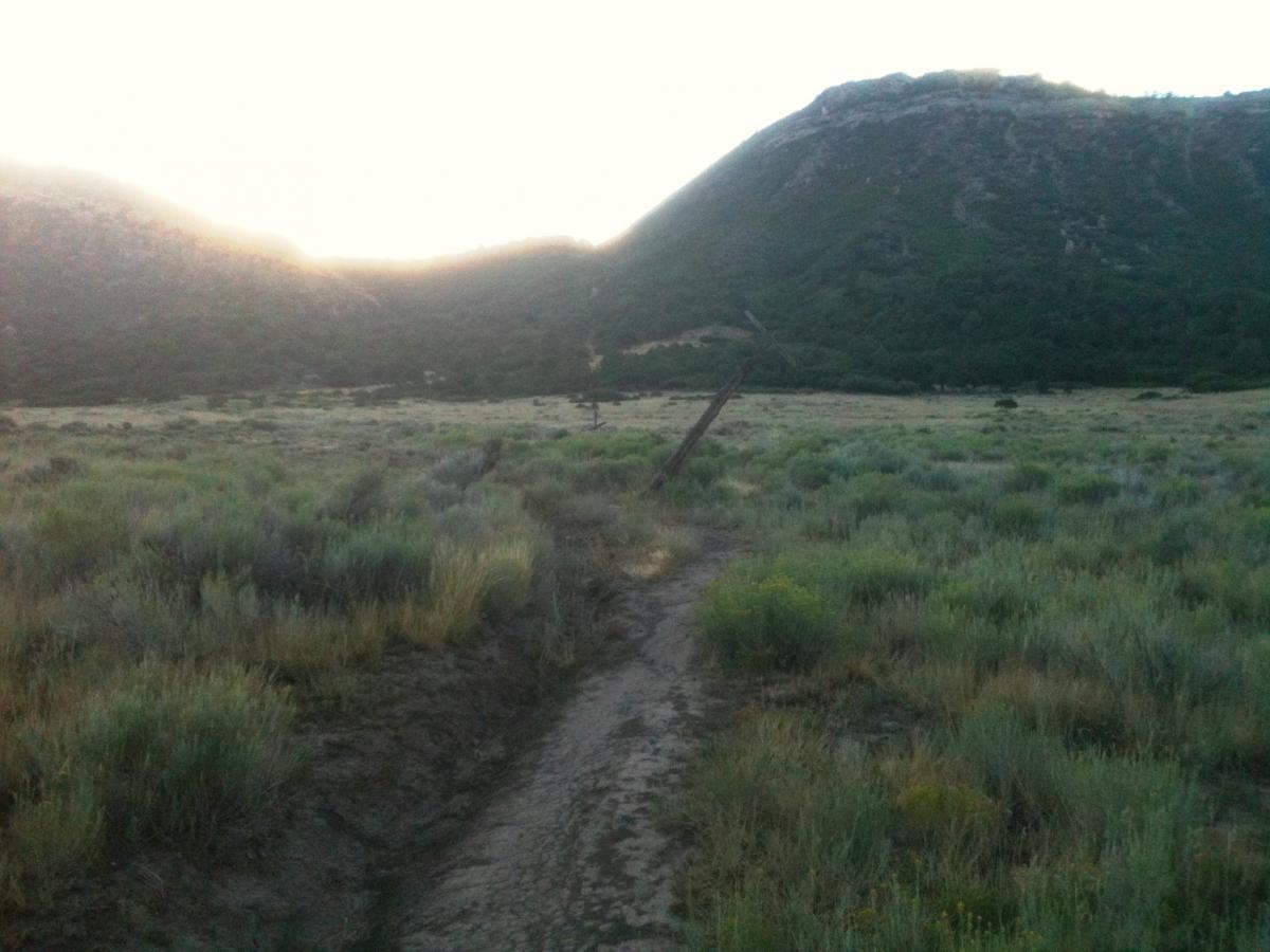 A serene landscape featuring rolling hills under soft sunlight. In the foreground, a dirt path winds through a field of tall, green grasses and shrubs. A partially fallen wooden post is visible amidst the vegetation. The background showcases a mountainous area, with gentle slopes and varied shades of green and brown. The overall atmosphere conveys a sense of tranquility and natural beauty. Horse Gulch mountain bike trail.