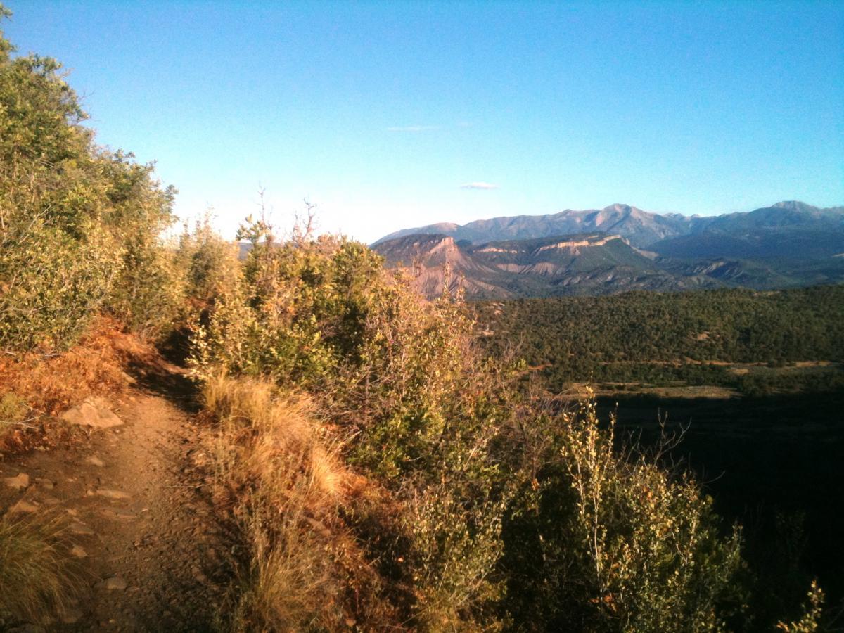 A scenic mountain view with a narrow dirt path lined by greenery on either side, leading toward distant mountains under a clear blue sky. Horse Gulch mountain bike trail.