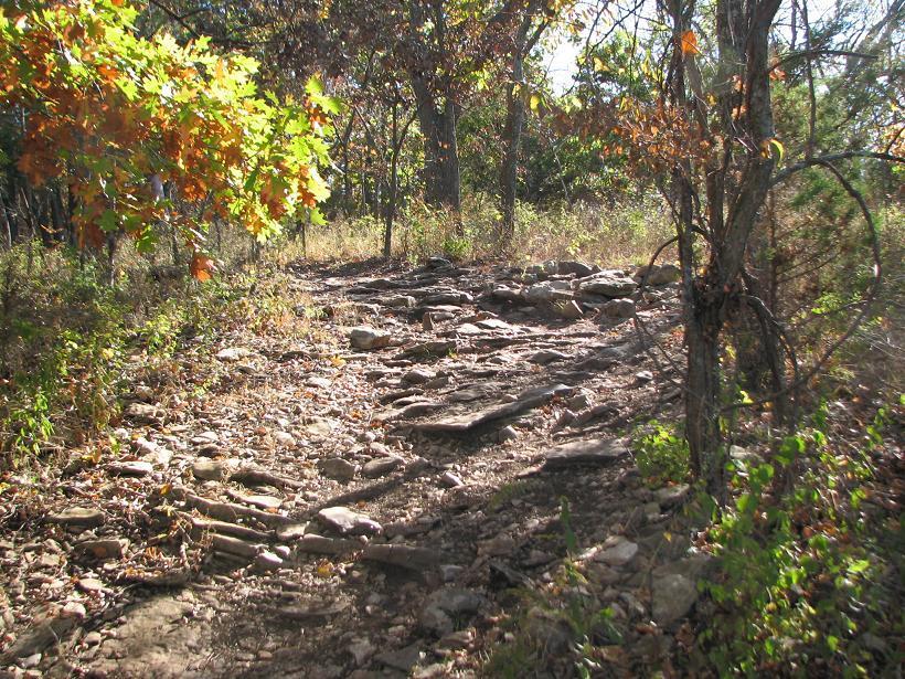 A rocky hiking trail winding through a forest, bordered by trees with green and autumn-colored leaves, under a sunny sky. The path is uneven with exposed rocks and surrounded by foliage. Shawnee Mission Park mountain bike trail.