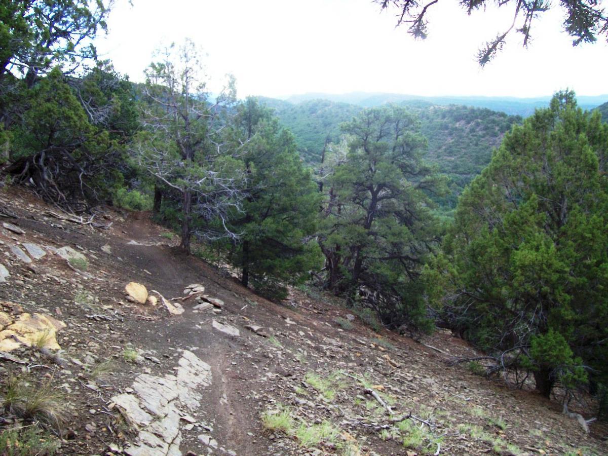 A scenic view of a hilly forest landscape featuring a winding dirt trail, surrounded by various trees and rocky terrain. The distant hills are partially obscured by a light mist, creating a tranquil and natural atmosphere. Telegraph Trail System mountain bike trail.