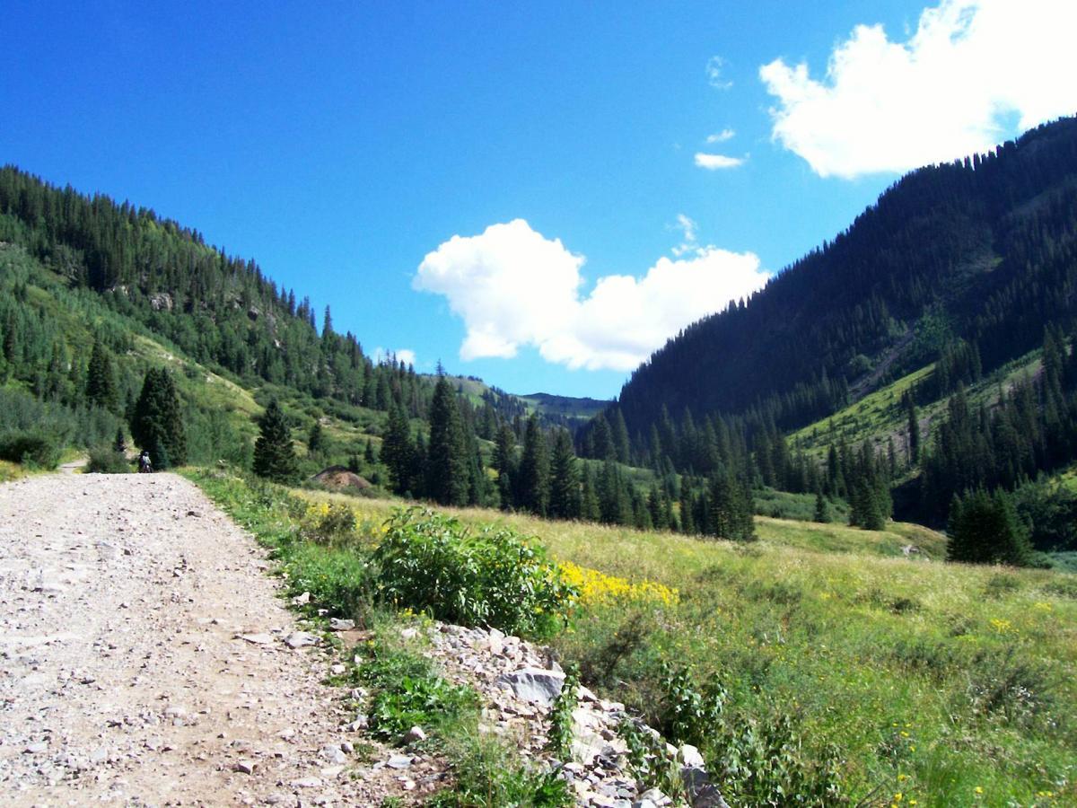 A scenic view of a gravel path leading through a lush green valley, surrounded by tall mountains and pine trees under a bright blue sky with a few fluffy white clouds. Wildflowers dot the grassy landscape, adding color to the serene environment. Colorado Trail: Kennebec Pass To Junction Creek mountain bike trail.