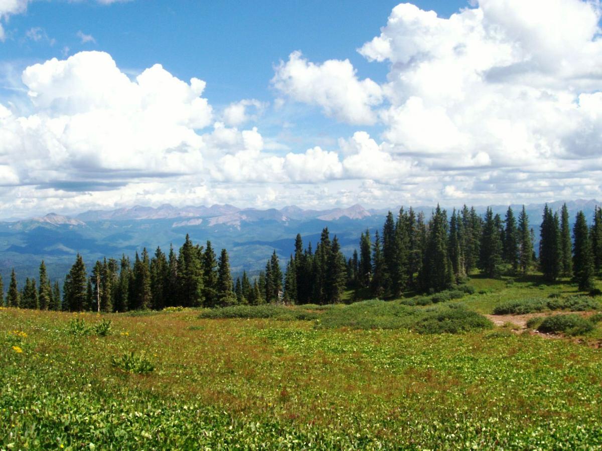 A panoramic view of a mountainous landscape featuring lush green meadows and coniferous trees, with a backdrop of distant mountains under a bright blue sky adorned with fluffy white clouds. Colorado Trail: Kennebec Pass To Junction Creek mountain bike trail.